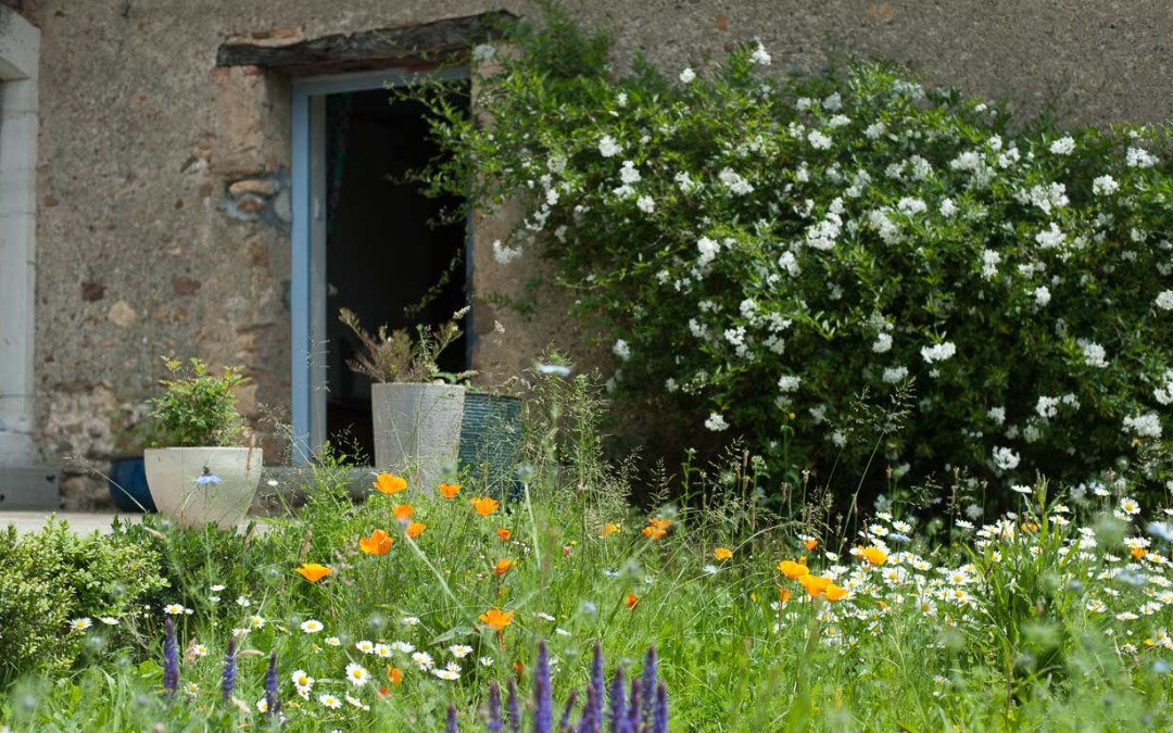 La cour et l’entrée de la chambre