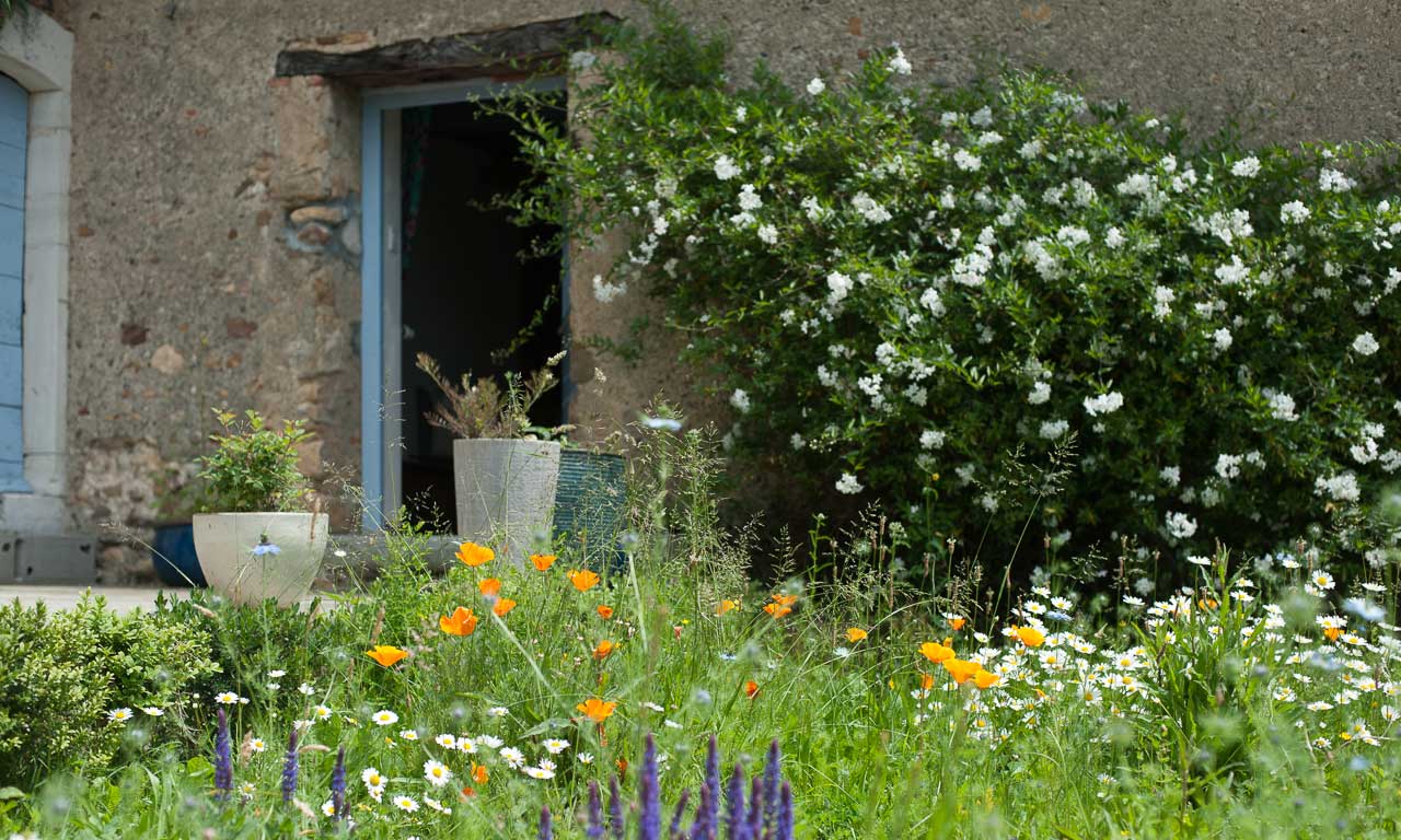 La cour et l’entrée de la chambre